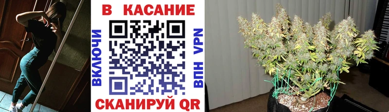 Цена Мурманск Alpha PVP  Мефедрон  Галлюциногенные грибы  Метамфетамин  ГАШИШ 