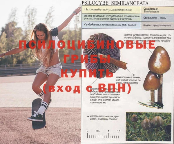 гашишное масло Богданович