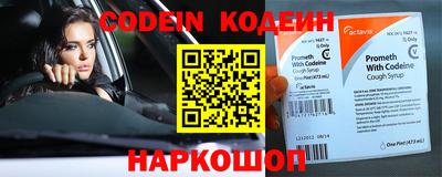 шишки Камышлов