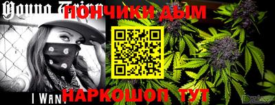 шишки Камышлов