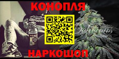 шишки Камышлов