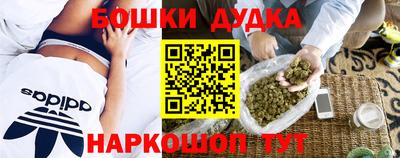шишки Камышлов