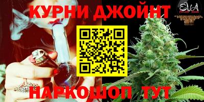 шишки Камышлов