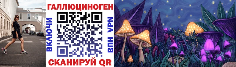 Псилоцибиновые грибы MAGIC MUSHROOMS  купить закладку  Мурманск 