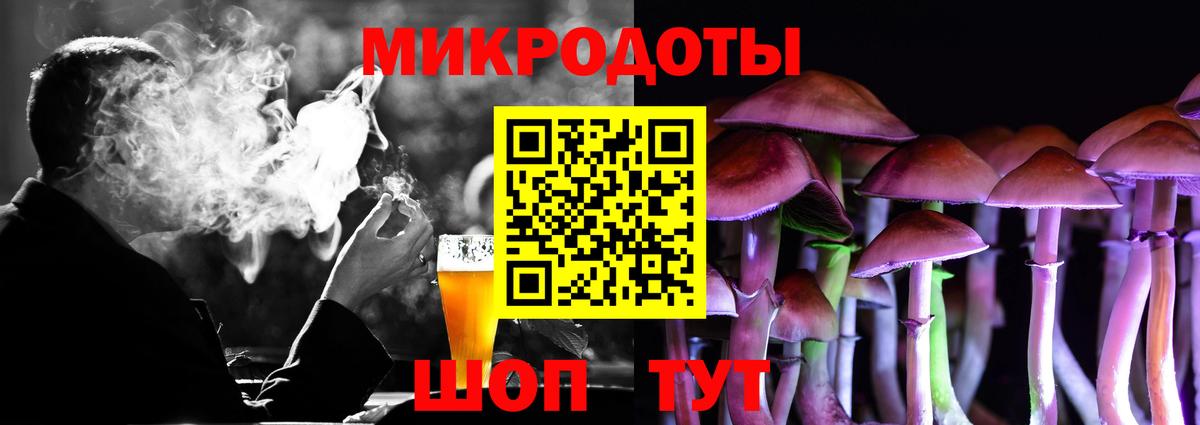 Псилоцибиновые грибы Psilocybine cubensis Мурманск