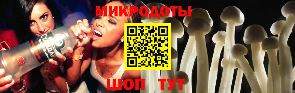 Псилоцибиновые грибы GOLDEN TEACHER  Псилоцибиновые грибы прущие грибы  Вход с VPN  Мурманск 